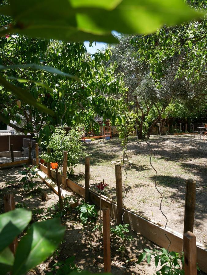 Nature Hostel ラシオタ エクステリア 写真