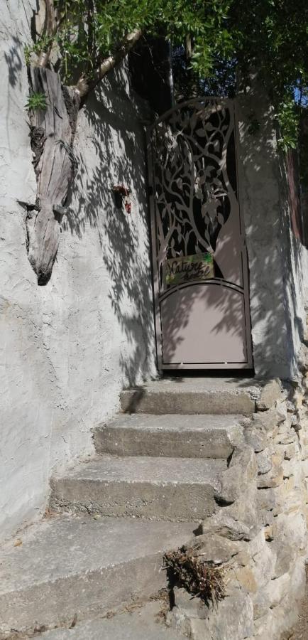Nature Hostel ラシオタ エクステリア 写真